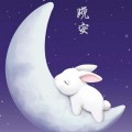 耶夫斯基本兔