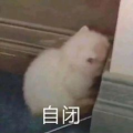 莫莫