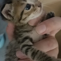 等等